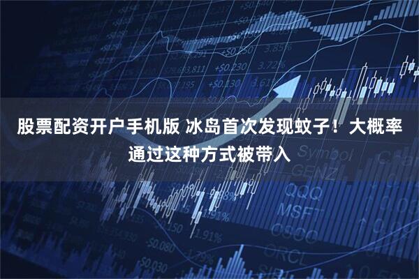 股票配资开户手机版 冰岛首次发现蚊子！大概率通过这种方式被带入