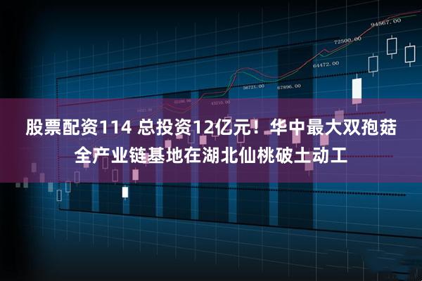 股票配资114 总投资12亿元!华中最大双孢菇全产业链基地在湖北仙桃破土动工